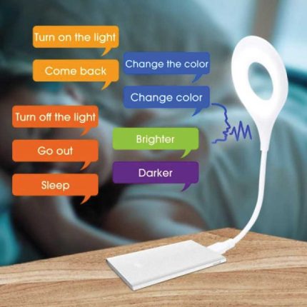 Smart voice control light